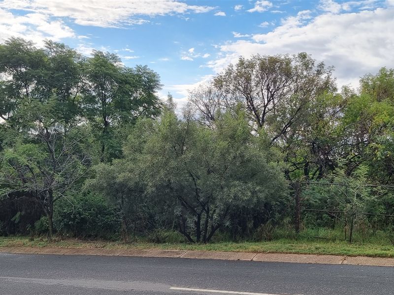 Your Blank Canvas in Prestigious Newlands Village - Photo 9