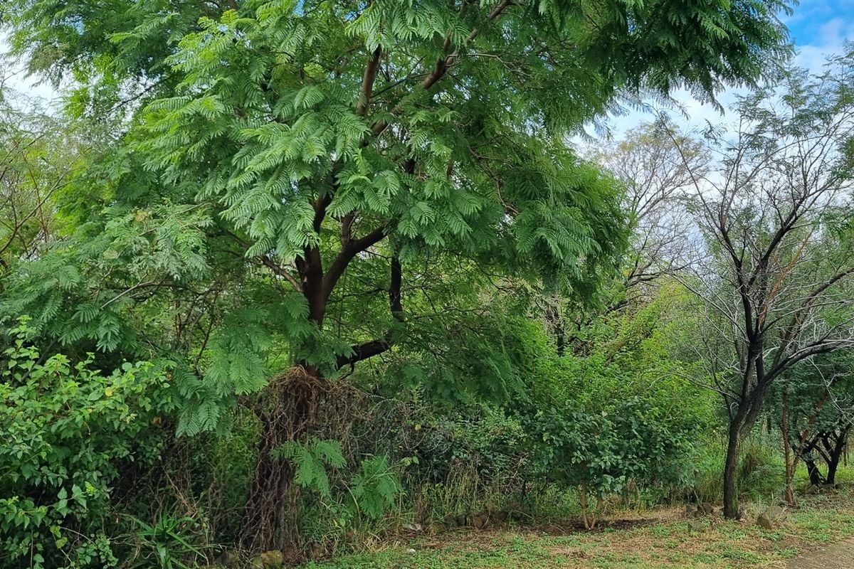 Your Blank Canvas in Prestigious Newlands Village - Photo 4