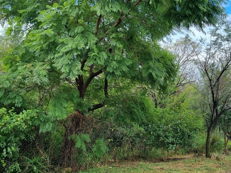 Your Blank Canvas in Prestigious Newlands Village - Photo 4