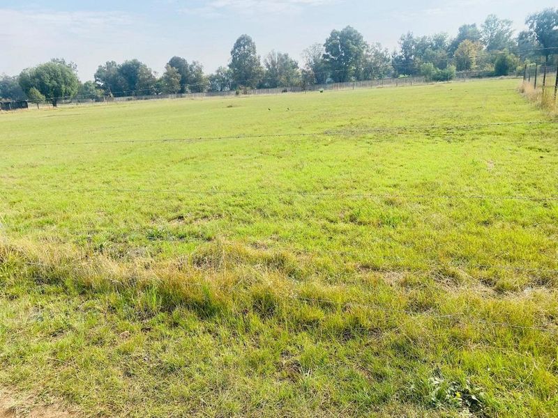 Vacant stand for sale - Photo 1