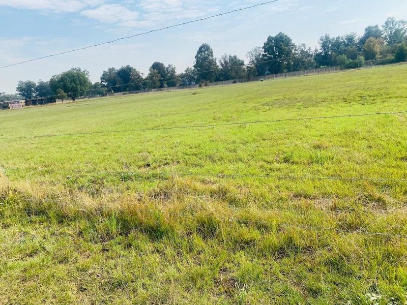 Vacant stand for sale - Photo 6