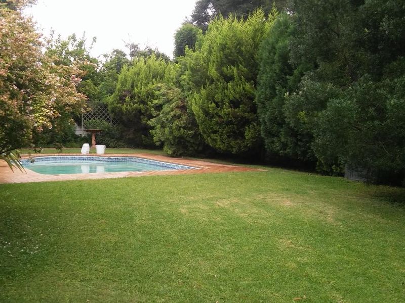 A private outdoor pool area featuring a tiled surround, set within a lush, well-established garden with mature trees and greenery.