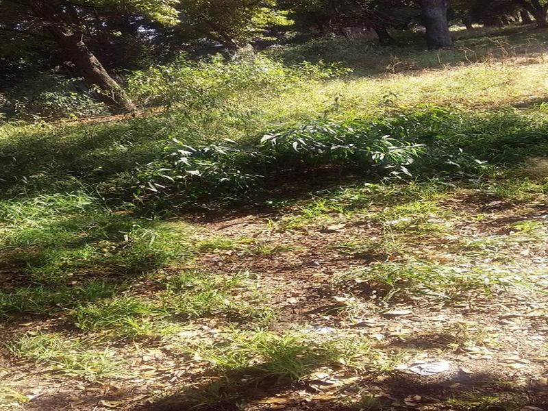 Vacant land for sale - Photo 1