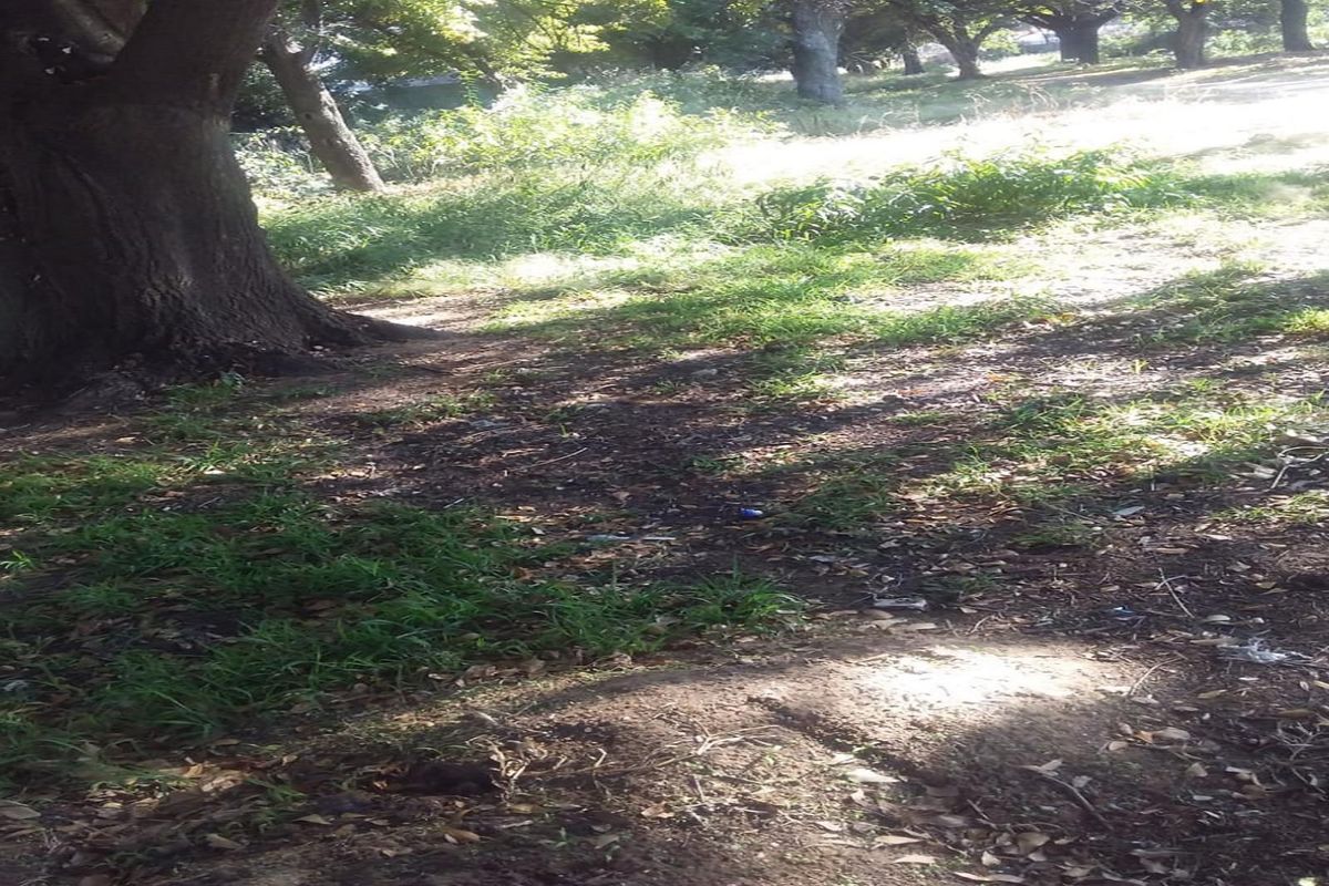 Vacant land for sale - Photo 2