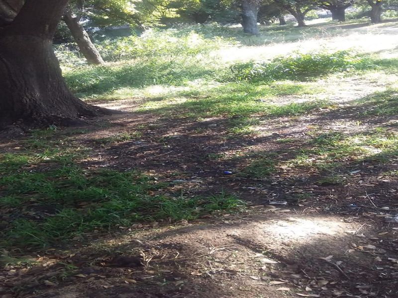 Vacant land for sale - Photo 2