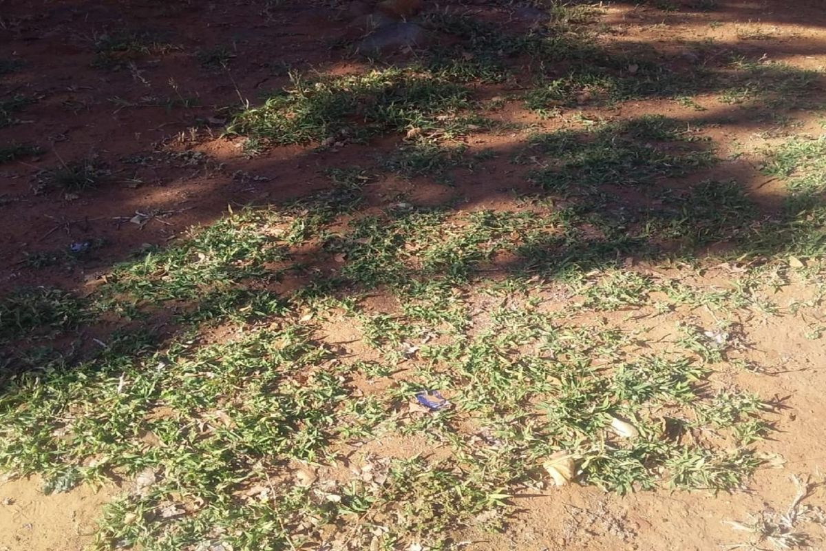 Vacant land for sale - Photo 3