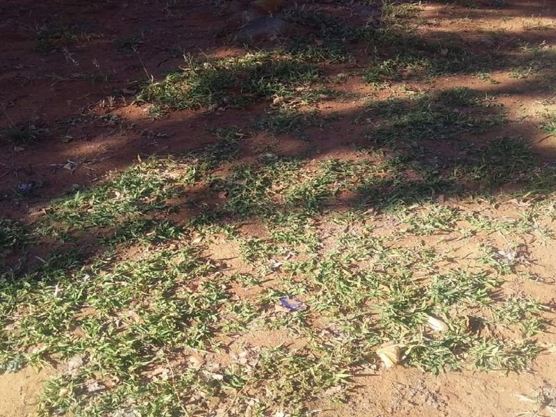 Vacant land for sale - Photo 3