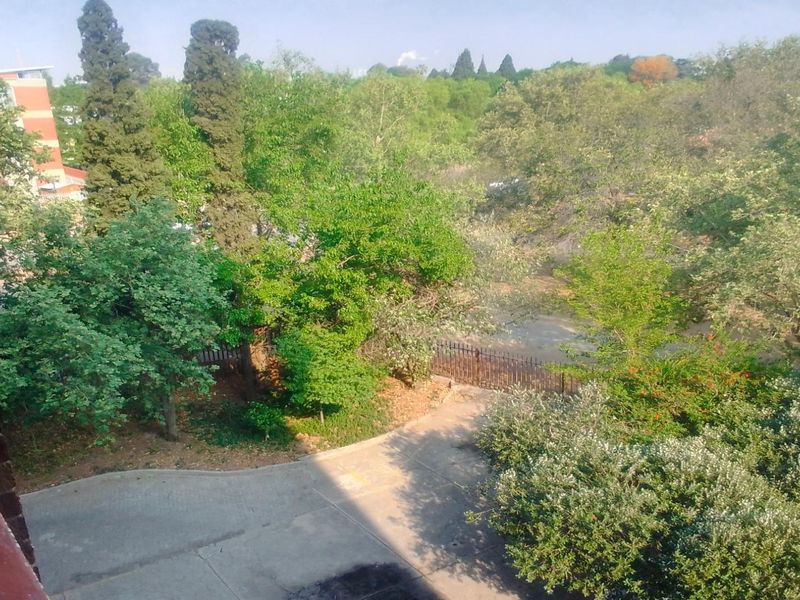 3 Bedroom Apartment in Sasolburg CBD - Photo 5