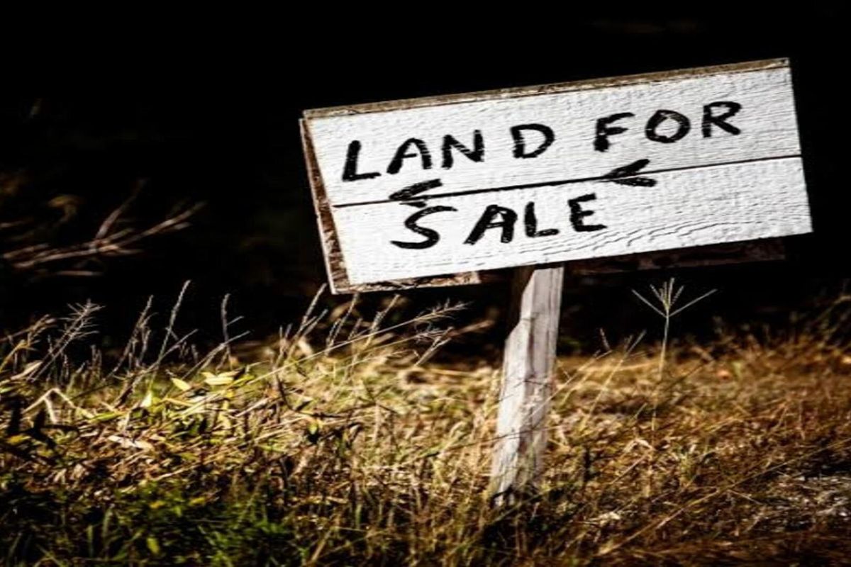 Vacant land in Vaaloewer with available land next to it - Photo 4