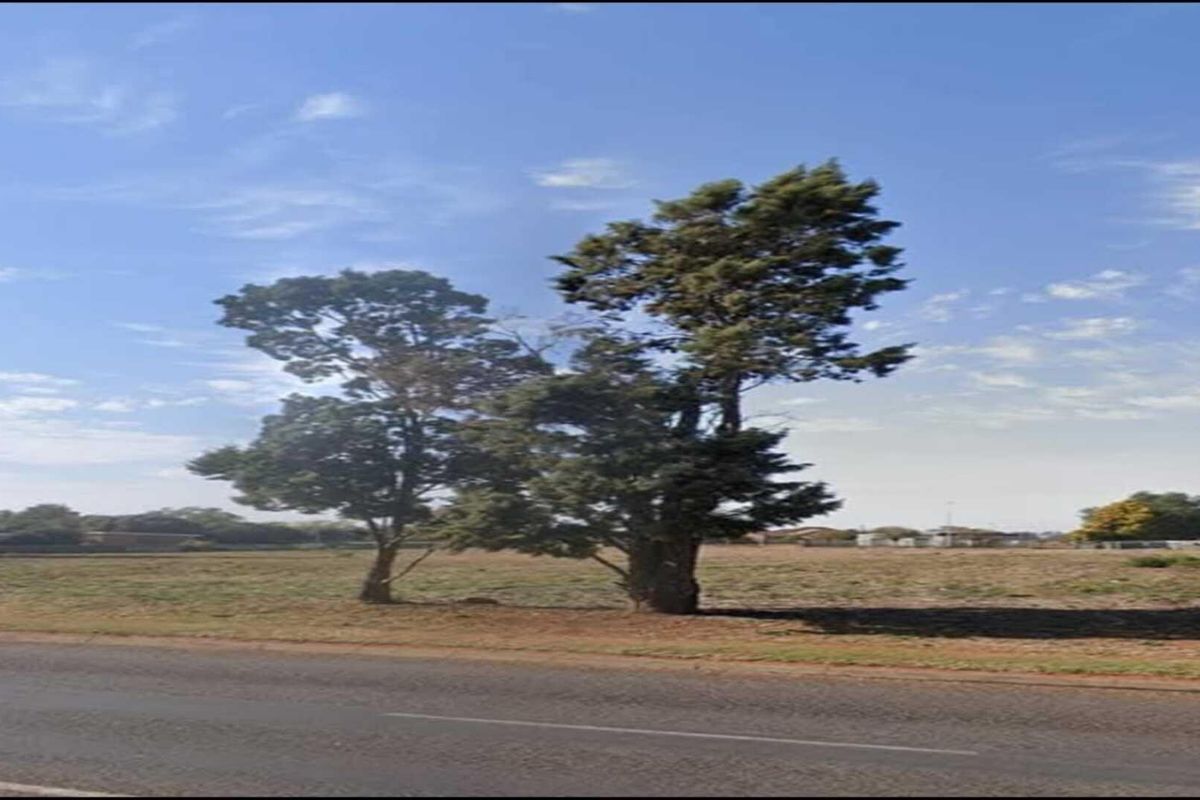 Vacant land in Kookrus - Photo 5