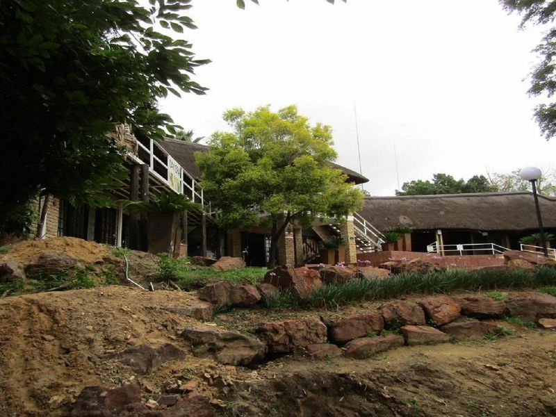 A view of the rear exterior of the property featuring a thatched roof structure, elevated wooden decking, and a terraced garden area.