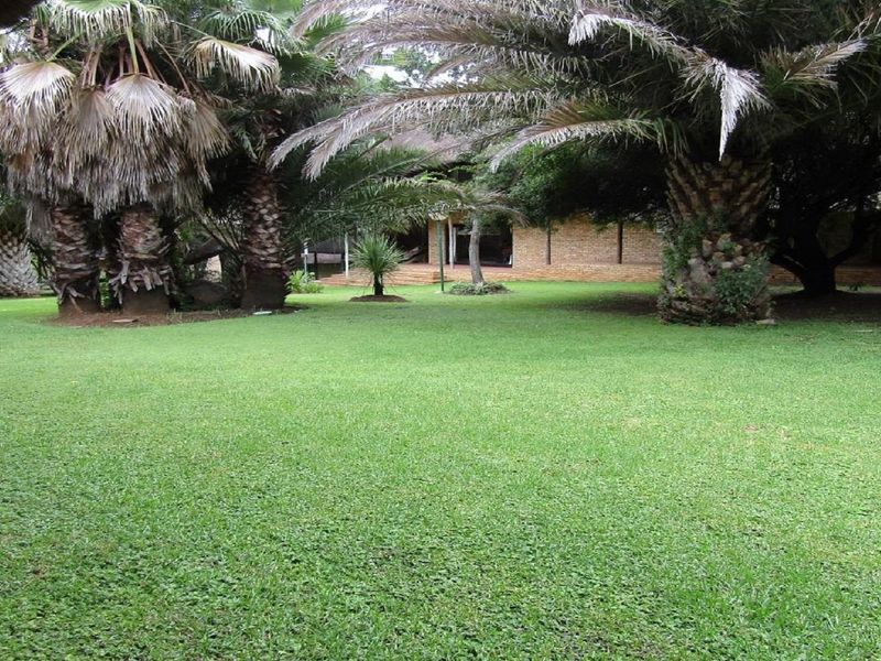 A spacious, well-maintained garden area featuring mature palm trees and established landscaping, providing a serene outdoor setting for the property.