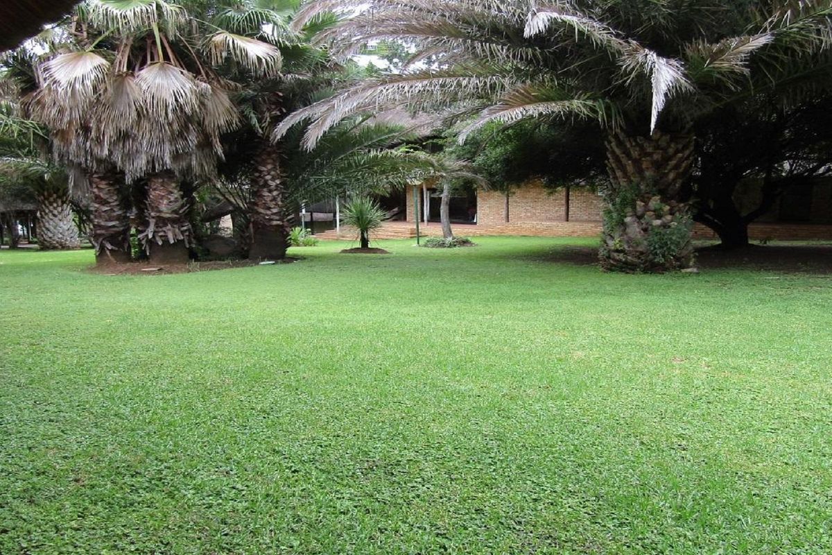 A spacious, well-maintained garden area featuring mature palm trees and established landscaping, providing a serene outdoor setting for the property.