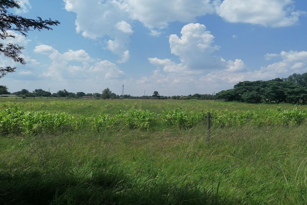 Big vacant land in Mullerstuine ideal for development. - Photo 3