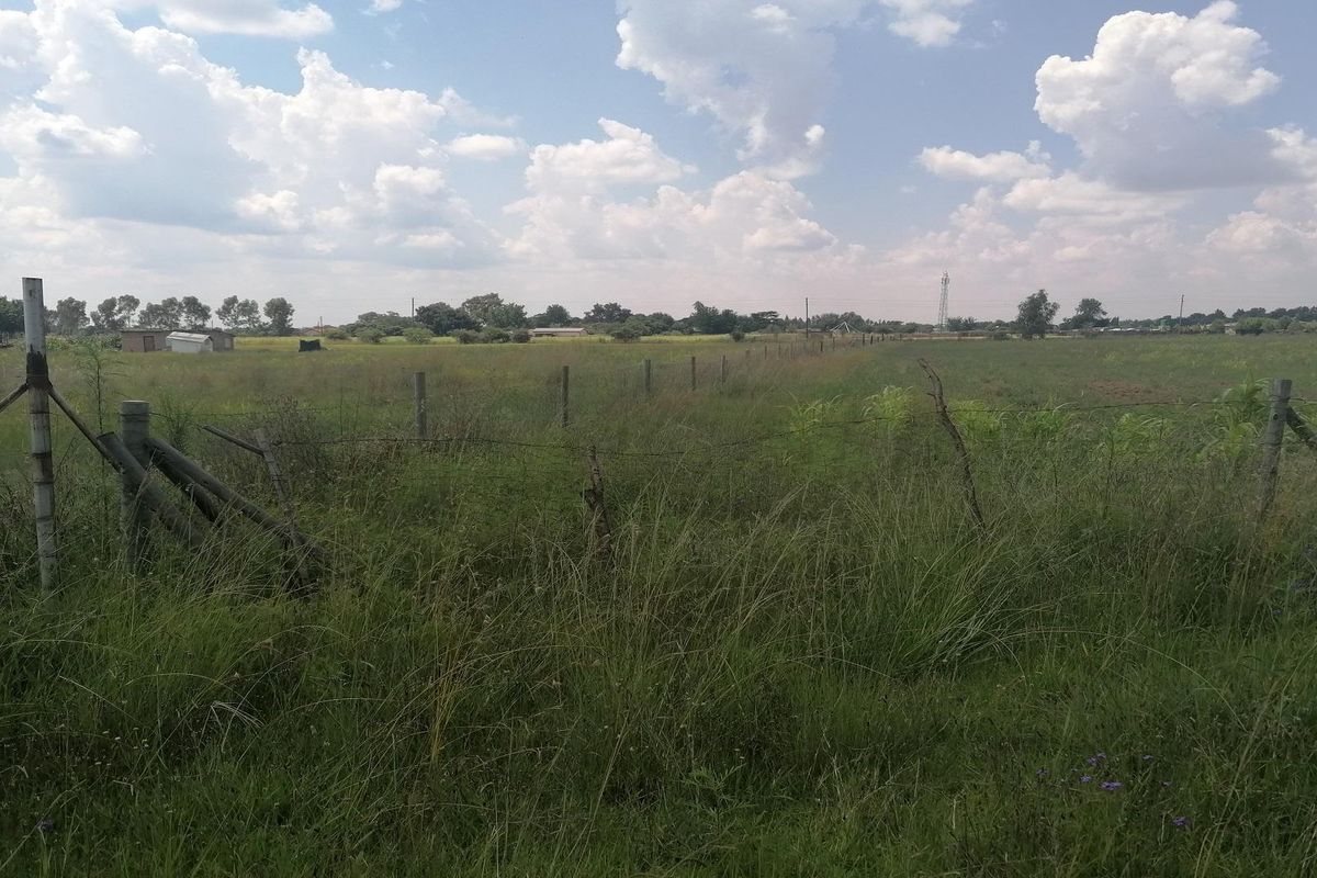 Big vacant land in Mullerstuine ideal for development. - Photo 5