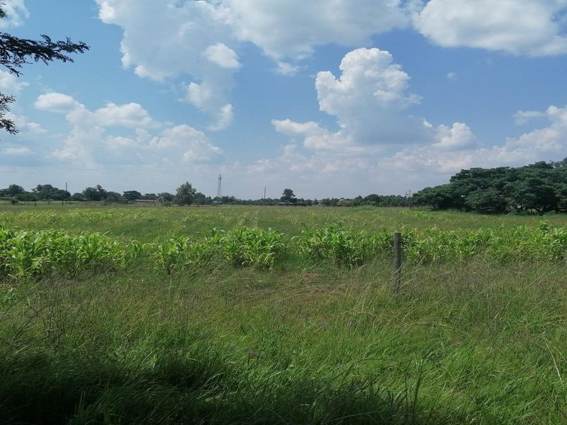 Big vacant land in Mullerstuine ideal for development. - Photo 10