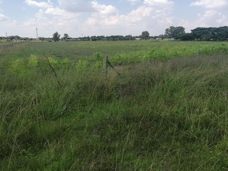 Big vacant land in Mullerstuine ideal for development. - Photo 7