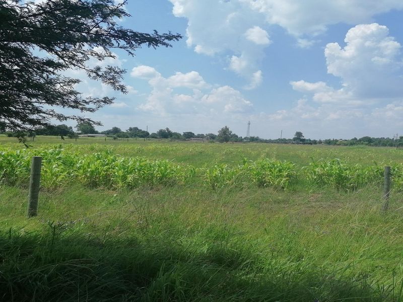 Big vacant land in Mullerstuine ideal for development. - Photo 1