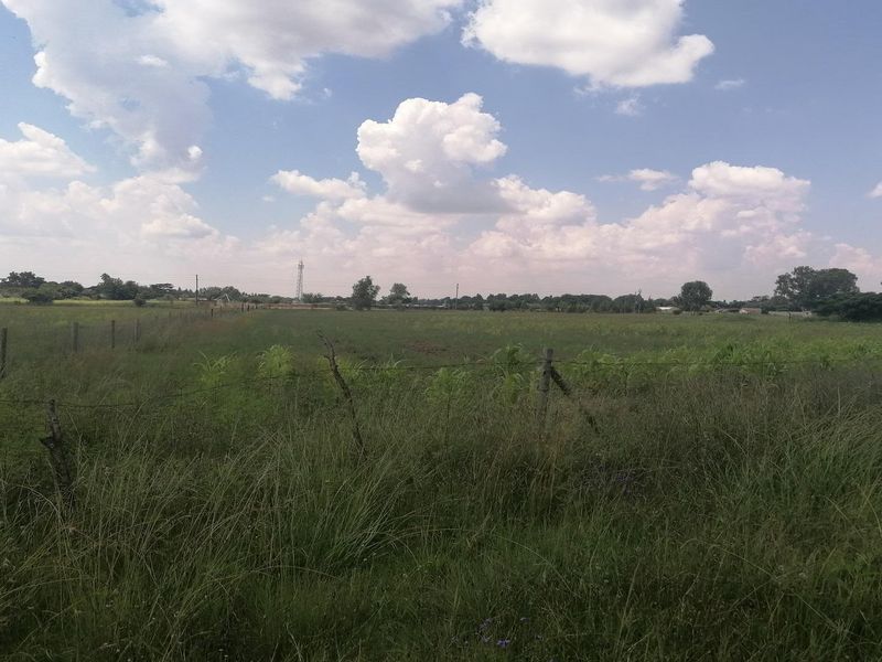 Big vacant land in Mullerstuine ideal for development. - Photo 8