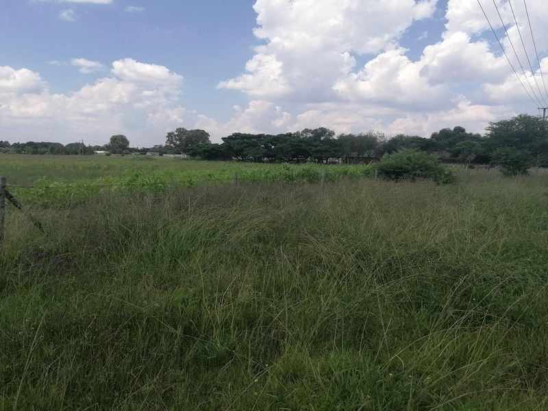 Big vacant land in Mullerstuine ideal for development. - Photo 6
