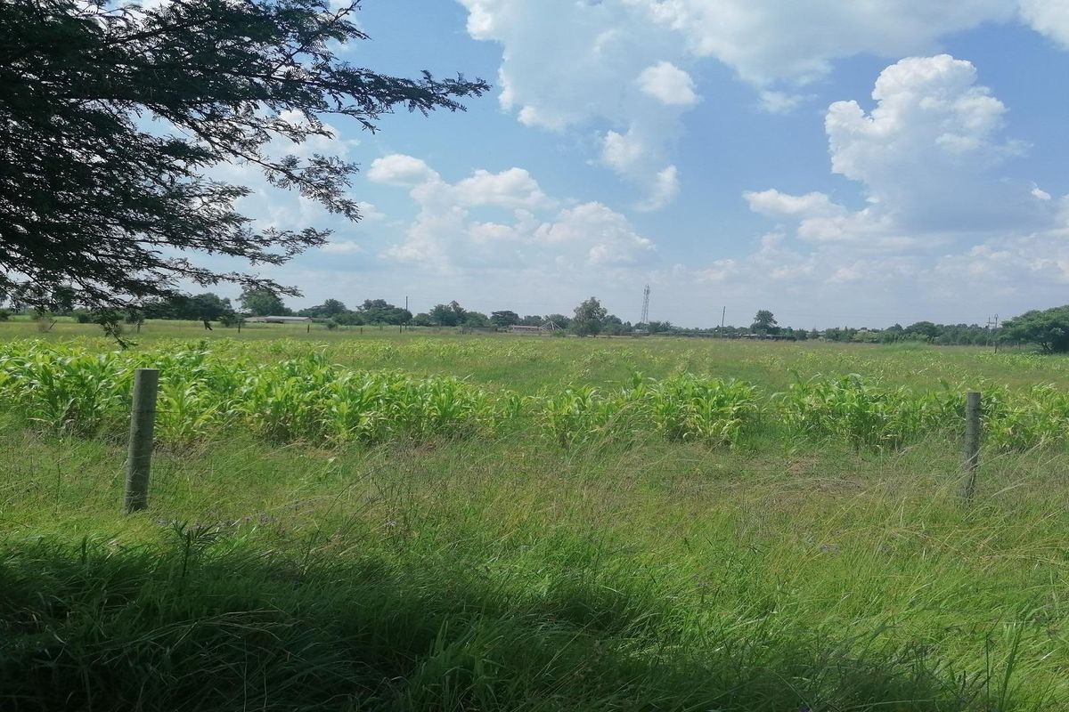 Big vacant land in Mullerstuine ideal for development. - Photo 4