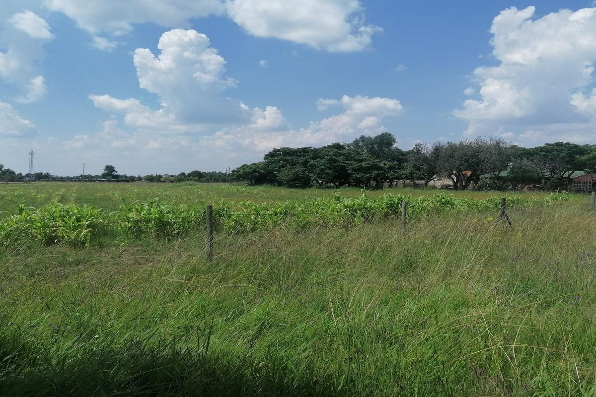 Big vacant land in Mullerstuine ideal for development. - Photo 2