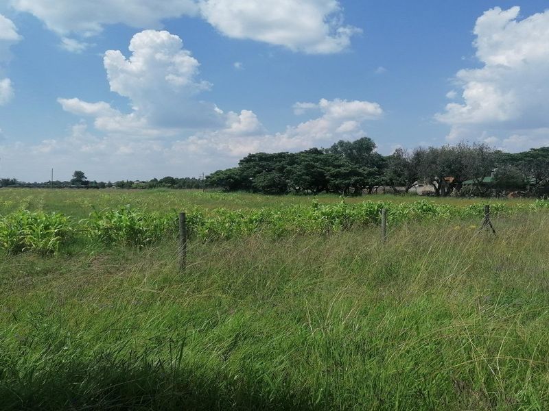 Big vacant land in Mullerstuine ideal for development. - Photo 2