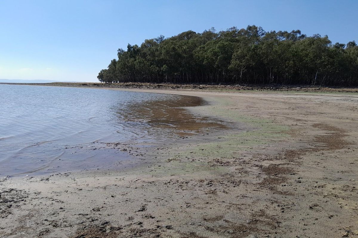 2.7 Hectare Smallholding with Water Rights - Photo 2