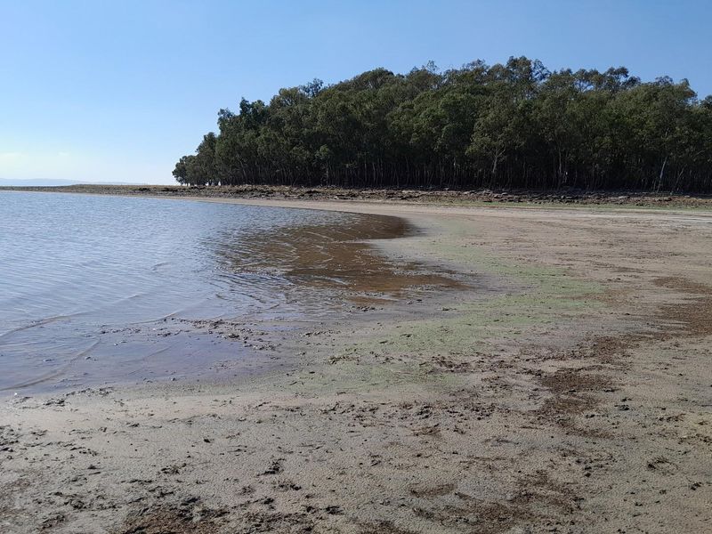 2.7 Hectare Smallholding with Water Rights - Photo 2