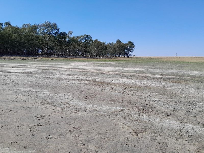 2.7 Hectare Smallholding with Water Rights - Photo 5