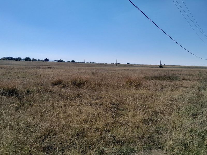2.7 Hectare Smallholding with Water Rights - Photo 9