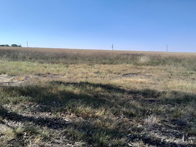 2.7 Hectare Smallholding with Water Rights - Photo 10