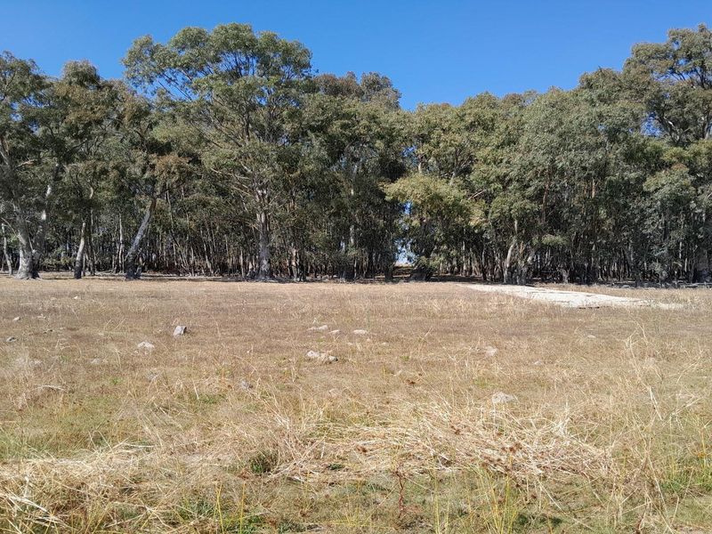 2.7 Hectare Smallholding with Water Rights - Photo 8