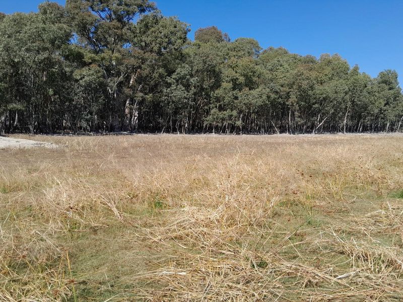 2.7 Hectare Smallholding with Water Rights - Photo 7