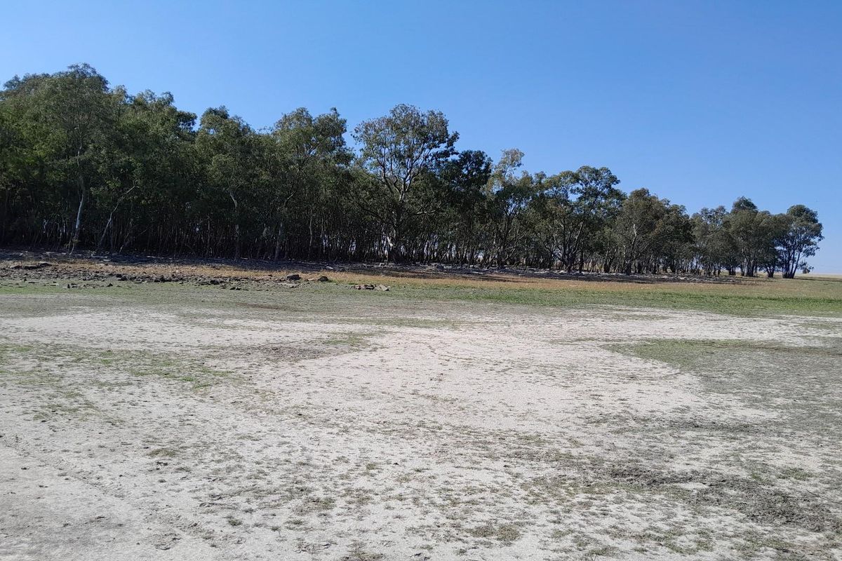 2.7 Hectare Smallholding with Water Rights - Photo 3