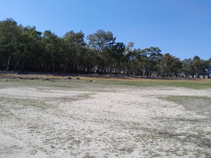 2.7 Hectare Smallholding with Water Rights - Photo 3