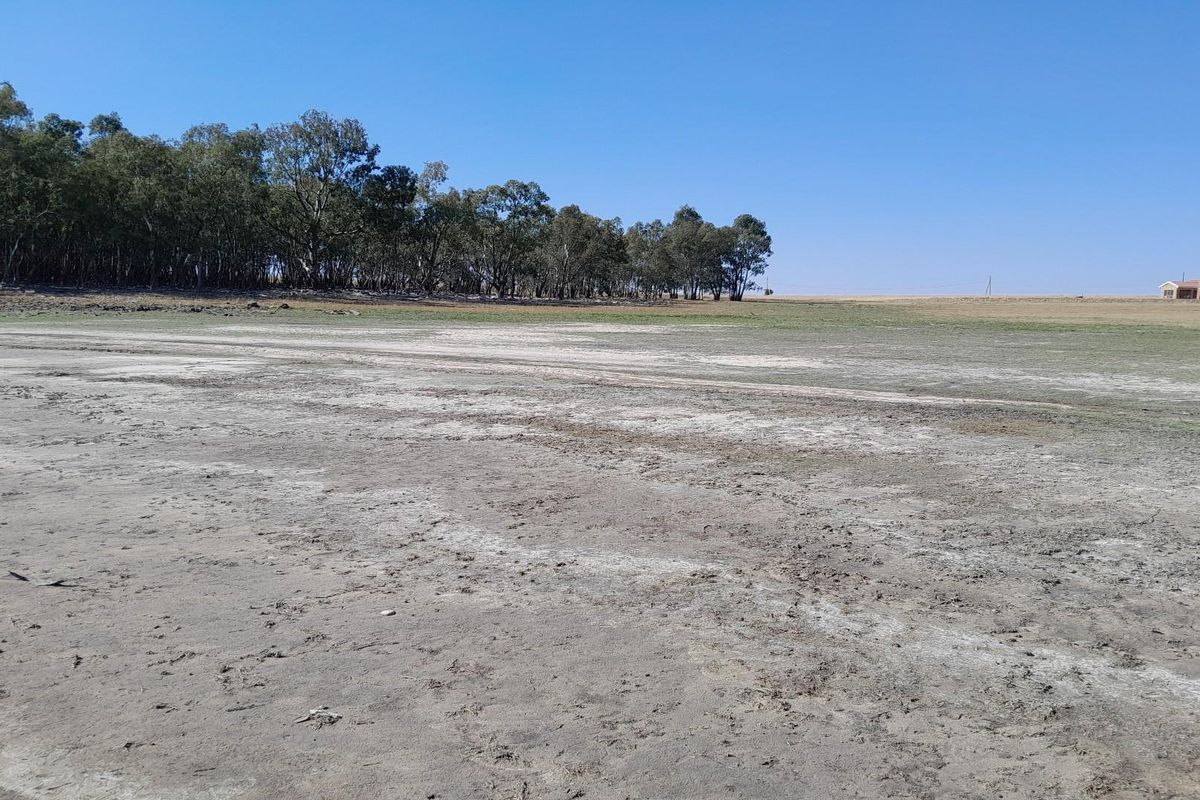 2.7 Hectare Smallholding with Water Rights - Photo 4