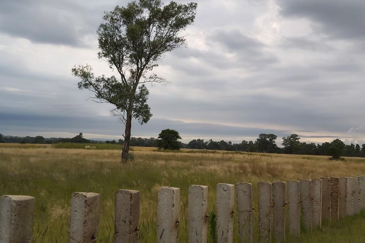 Vacant land for sale - Photo 4