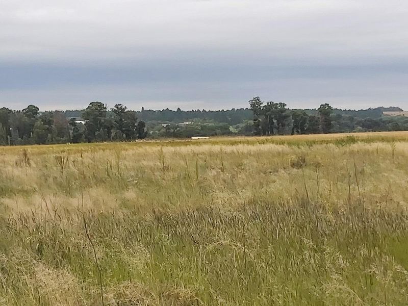 Vacant land for sale - Photo 1