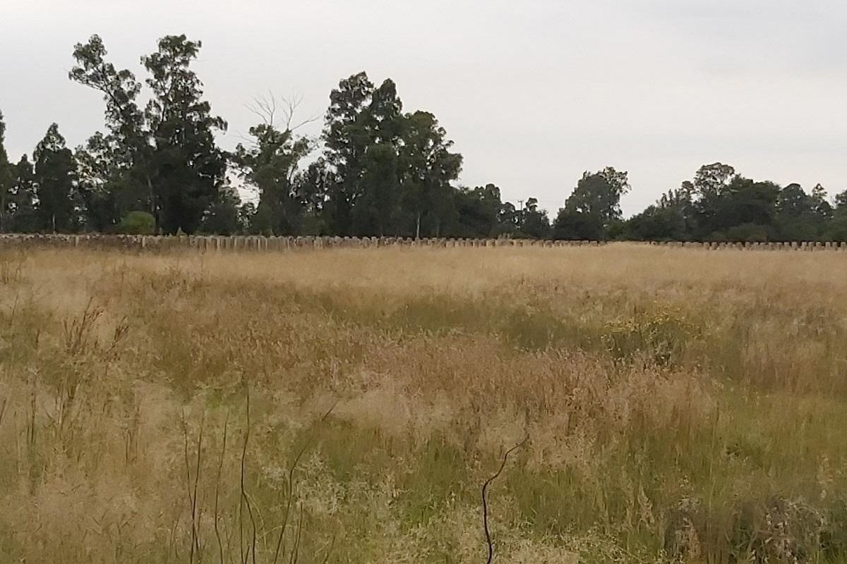 Vacant land for sale - Photo 3