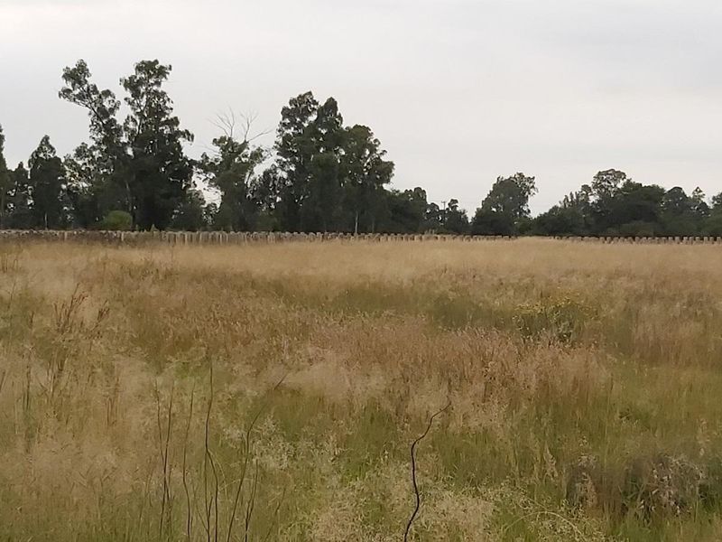 Vacant land for sale - Photo 3
