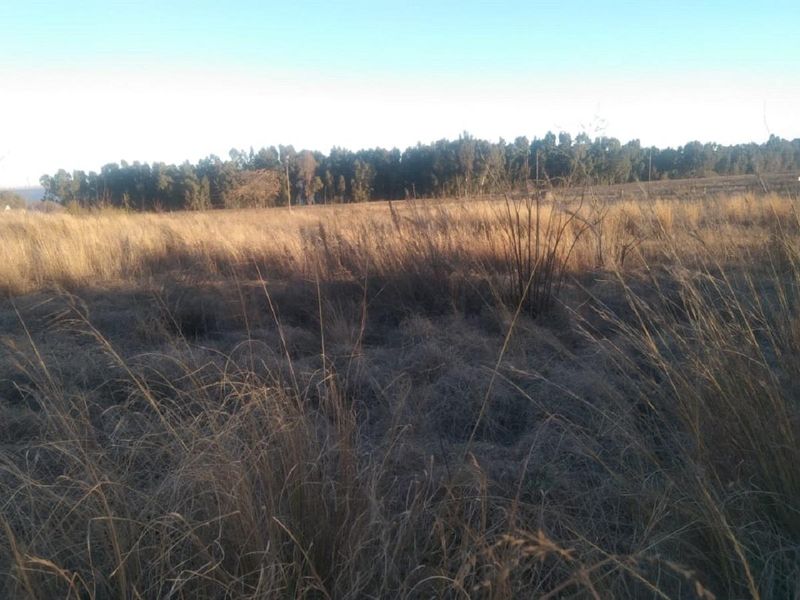Vacant stand for sale - Photo 1