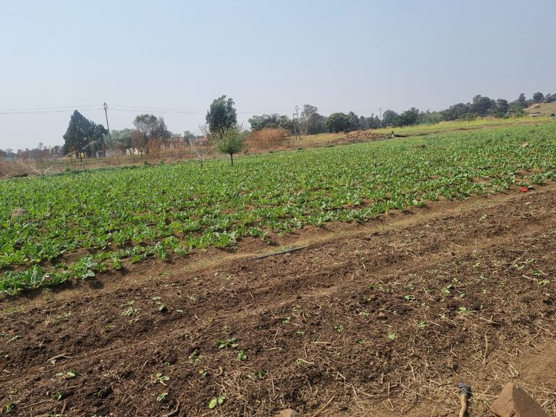 Vacant Land Residential For Sale In Vereeniging - Photo 1