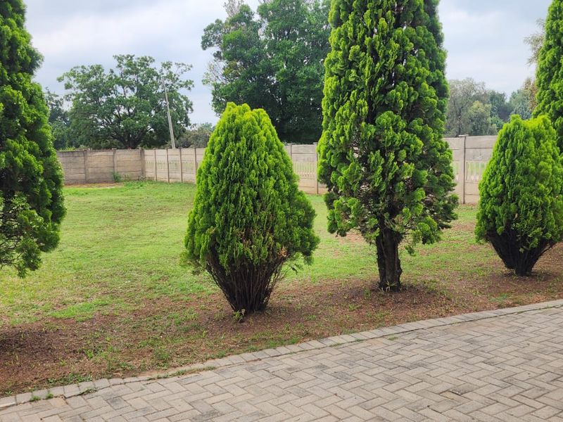5 Bedroom house to rent - Photo 1