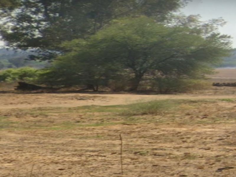Prime Off-Grid Development Opportunity Next to Heron Banks, Vaalpark - Photo 5