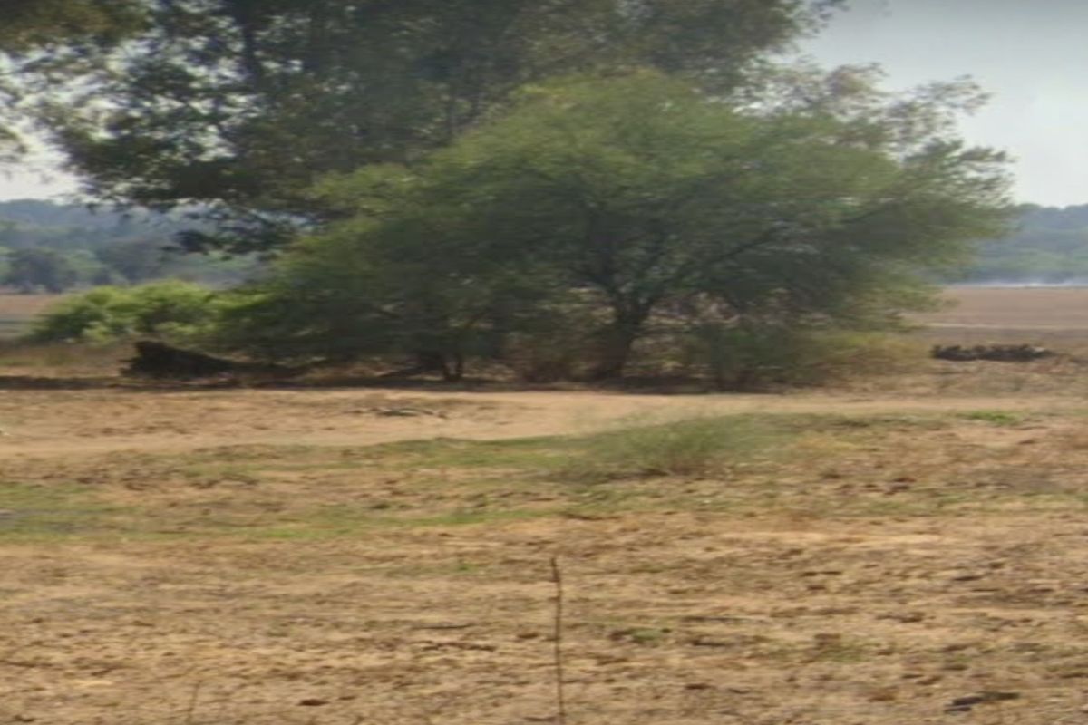 Prime Off-Grid Development Opportunity Next to Heron Banks, Vaalpark - Photo 5