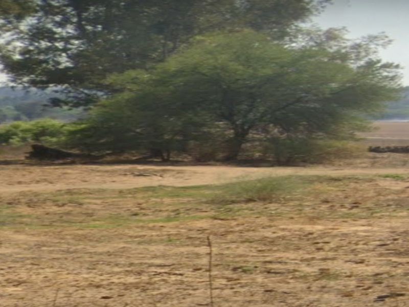 Prime Off-Grid Development Opportunity Next to Heron Banks, Vaalpark - Photo 5