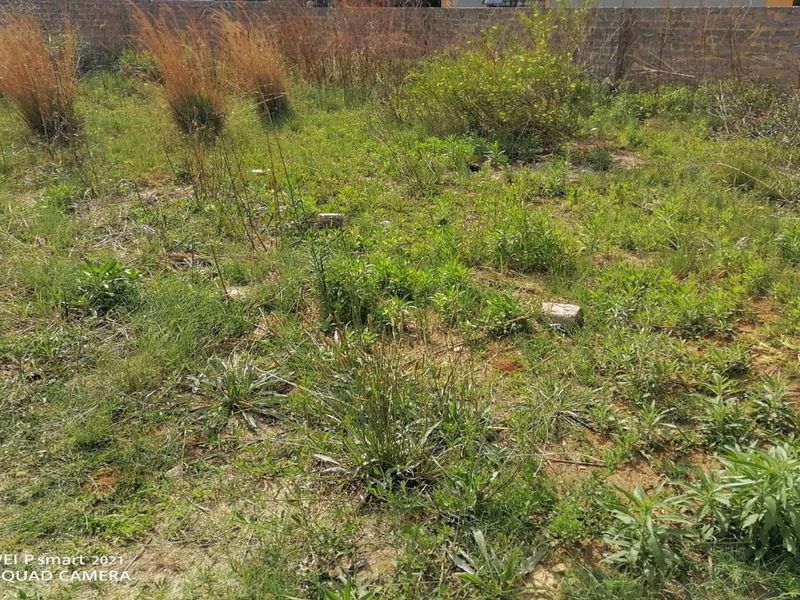 🌿 Vacant Land for Sale in Vanderbijlpark CE 7 – Prime Location, Great Potential! - Photo 1