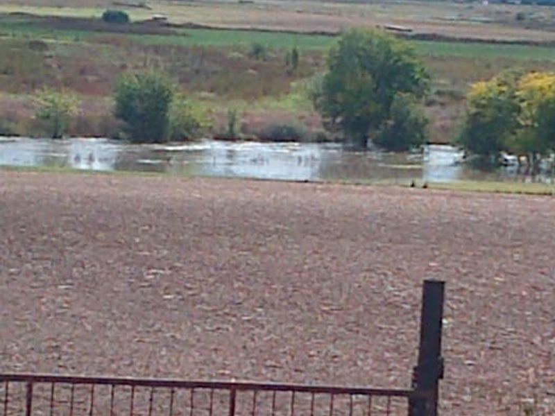 Farm For Sale In Meyerton - Photo 1