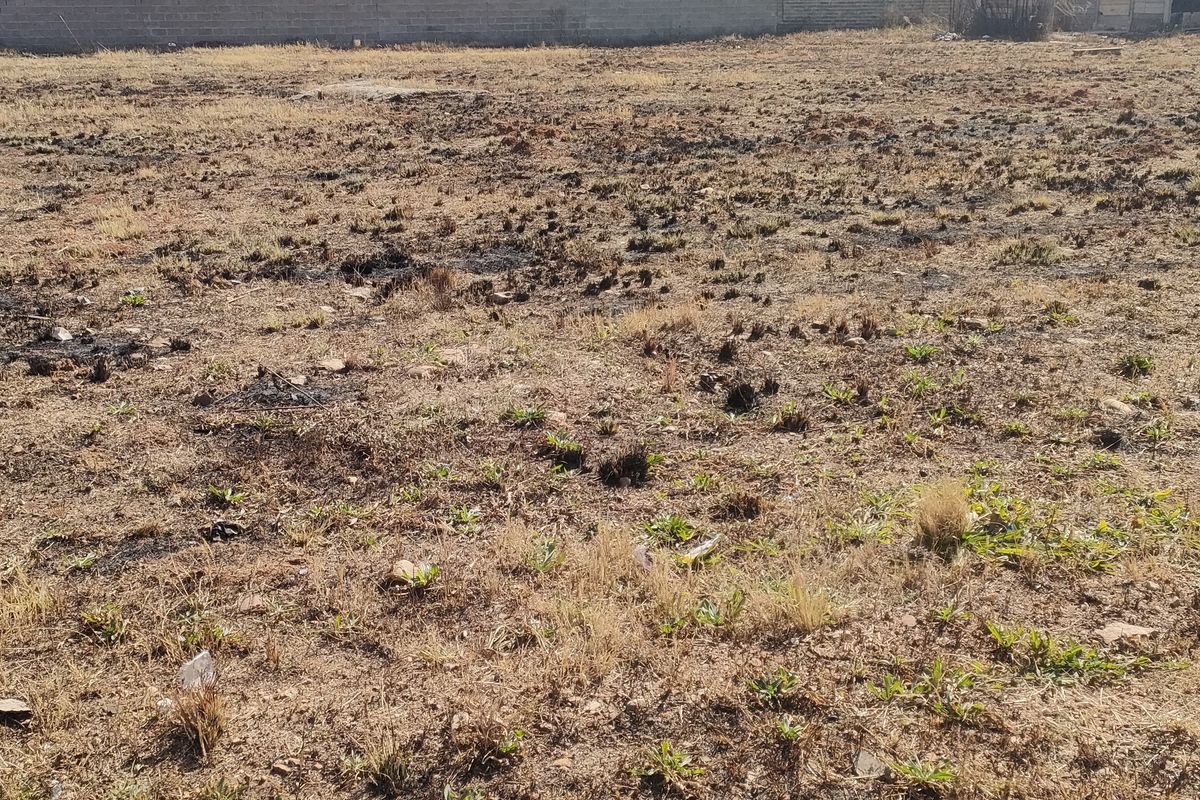 A vacant residential plot featuring dry, scorched vegetation and a perimeter boundary wall.